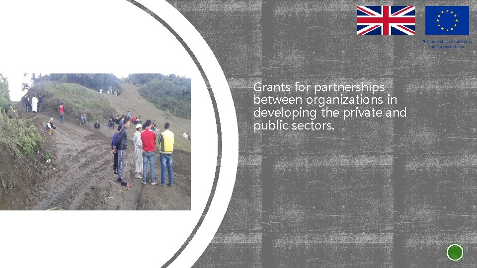 Grants for partnerships between organizations in developing the private and public sectors. 