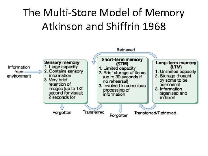 The Multi-Store Model of Memory Atkinson and Shiffrin 1968 