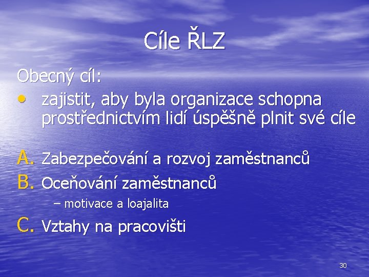 Cíle ŘLZ Obecný cíl: • zajistit, aby byla organizace schopna prostřednictvím lidí úspěšně plnit