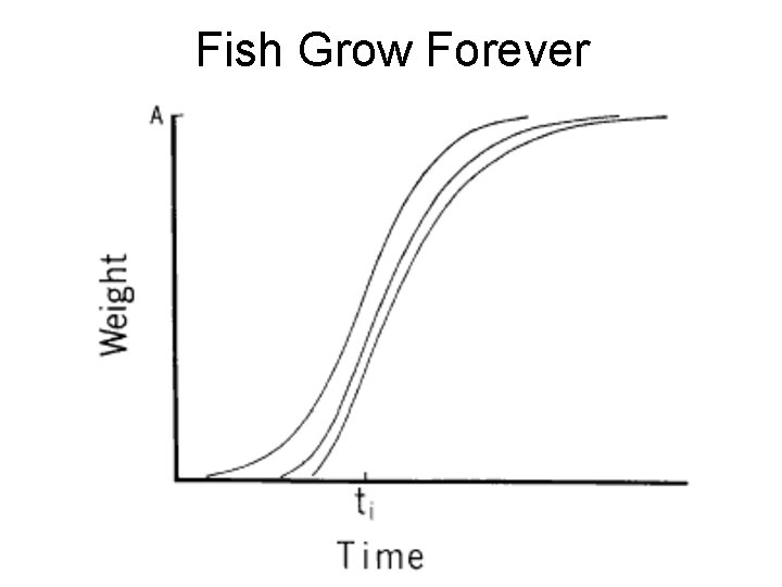 Fish Grow Forever 