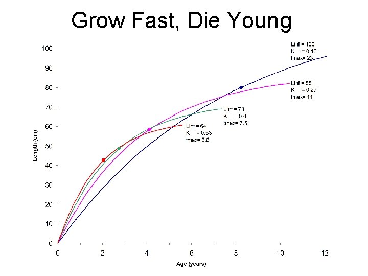 Grow Fast, Die Young 