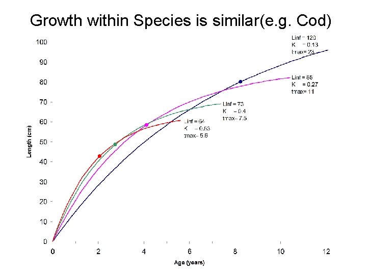 Growth within Species is similar(e. g. Cod) 