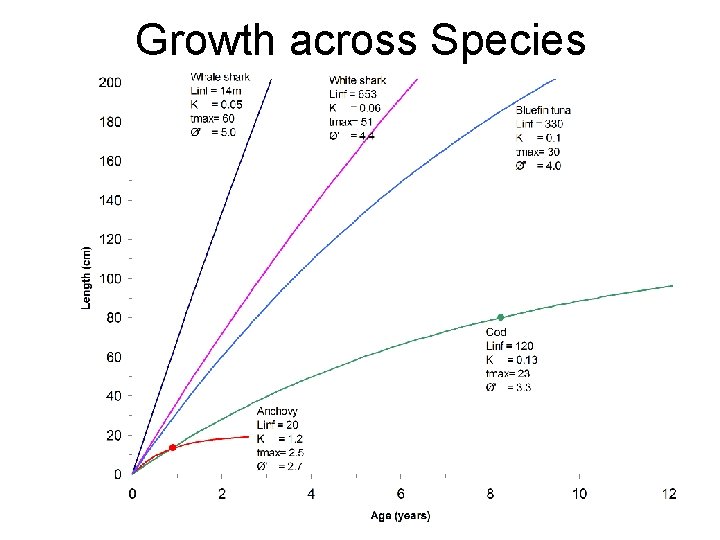 Growth across Species 