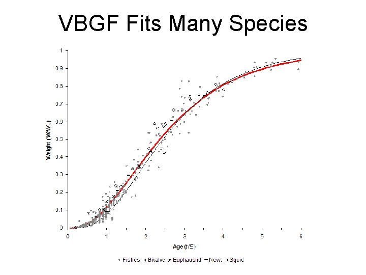 VBGF Fits Many Species 