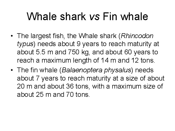 Whale shark vs Fin whale • The largest fish, the Whale shark (Rhincodon typus)