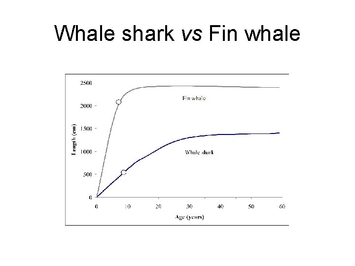 Whale shark vs Fin whale 