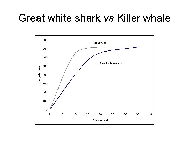 Great white shark vs Killer whale 