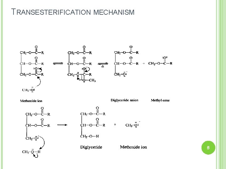 NEW SOURCE OF RENEWABLE ENERGY ALGAE 1 By