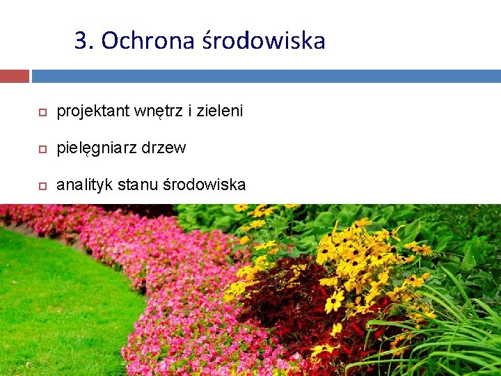 3. Ochrona środowiska projektant wnętrz i zieleni pielęgniarz drzew analityk stanu środowiska 