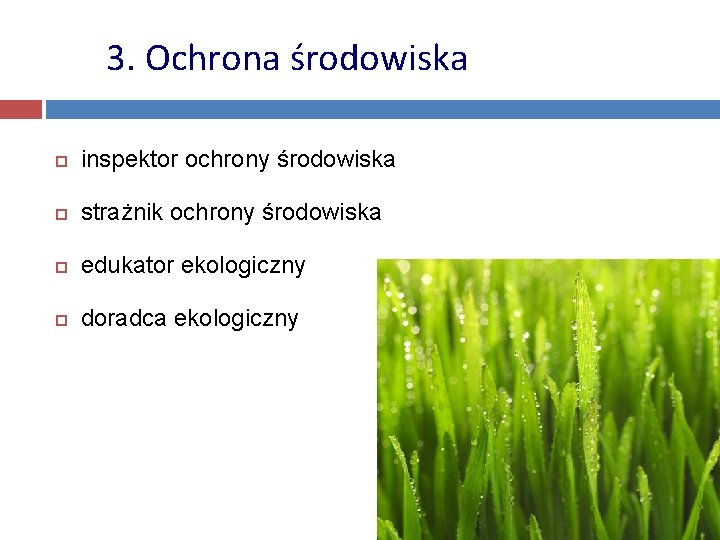 3. Ochrona środowiska inspektor ochrony środowiska strażnik ochrony środowiska edukator ekologiczny doradca ekologiczny 