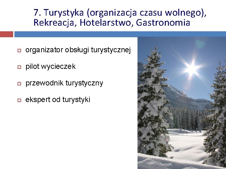 7. Turystyka (organizacja czasu wolnego), Rekreacja, Hotelarstwo, Gastronomia organizator obsługi turystycznej pilot wycieczek przewodnik