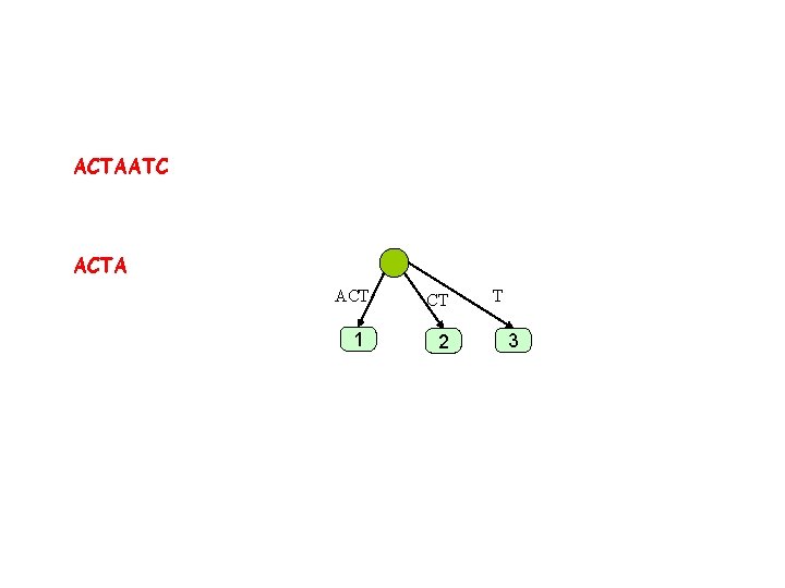 ACTAATC ACTA ACT 1 CT 2 T 3 