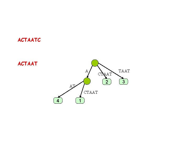 ACTAATC ACTAAT A 2 AT CTAAT 4 CTAAT 1 TAAT 3 