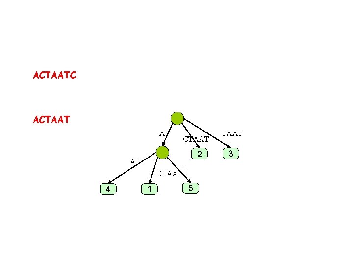 ACTAATC ACTAAT A 2 AT CTAAT 4 CTAAT 1 T 5 TAAT 3 