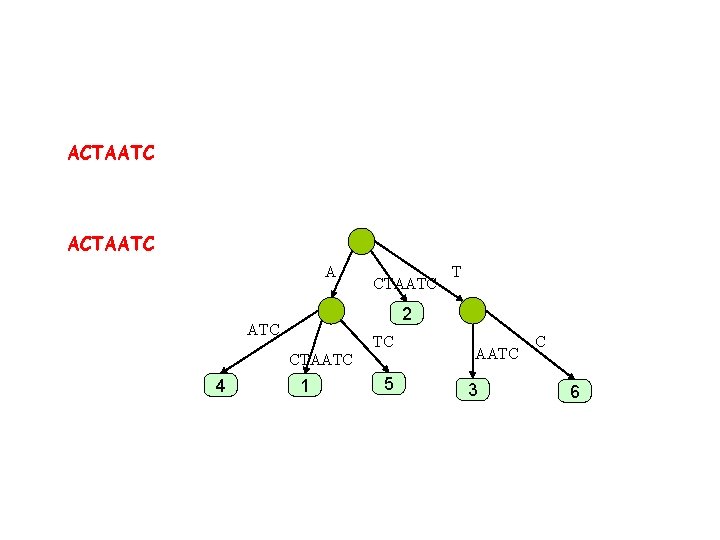 ACTAATC A CTAATC 2 ATC TC CTAATC 4 T 1 5 AATC 3 C