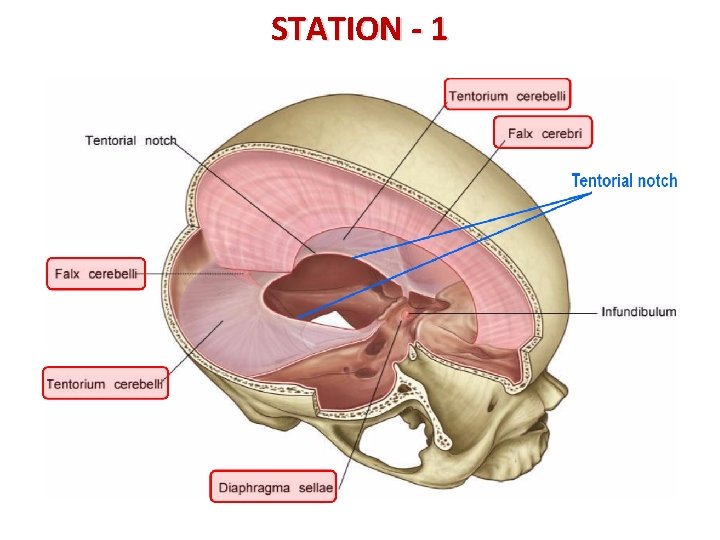 STATION - 1 