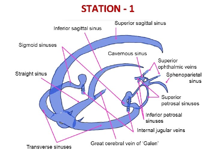 STATION - 1 