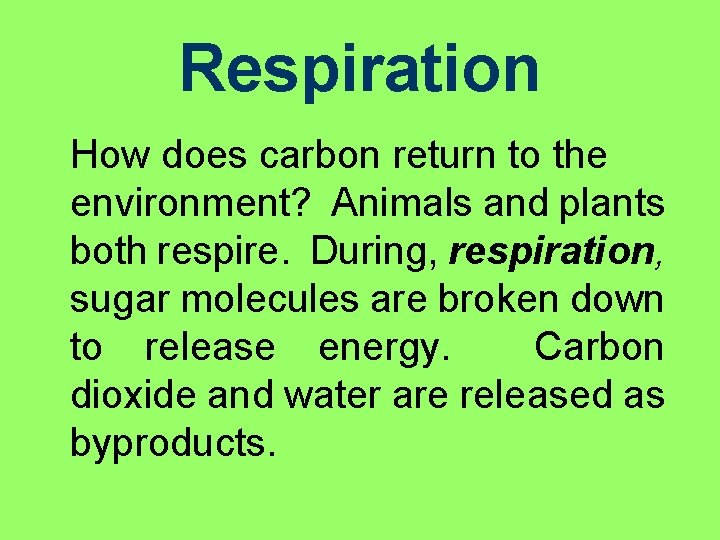 Respiration How does carbon return to the environment? Animals and plants both respire. During,