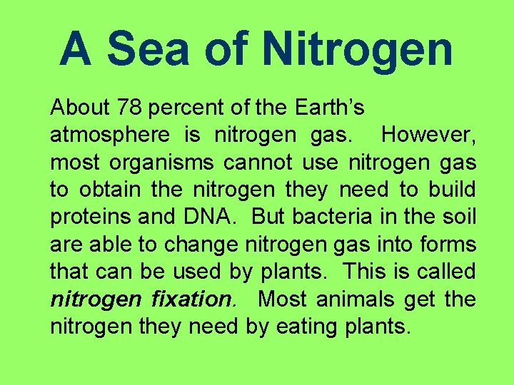 A Sea of Nitrogen About 78 percent of the Earth’s atmosphere is nitrogen gas.