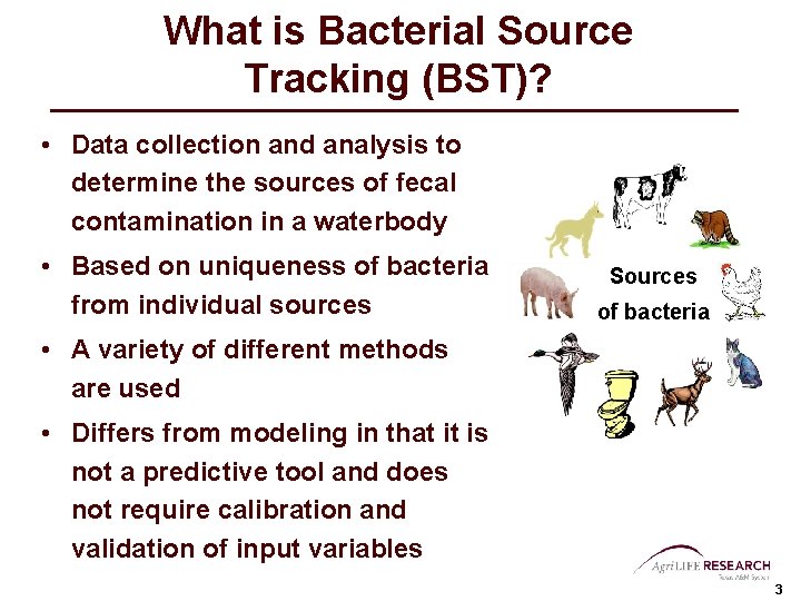 Bacterial Source Tracking Leona River Emily Martin and