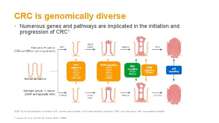 CRC is genomically diverse • Numerous genes and pathways are implicated in the initiation