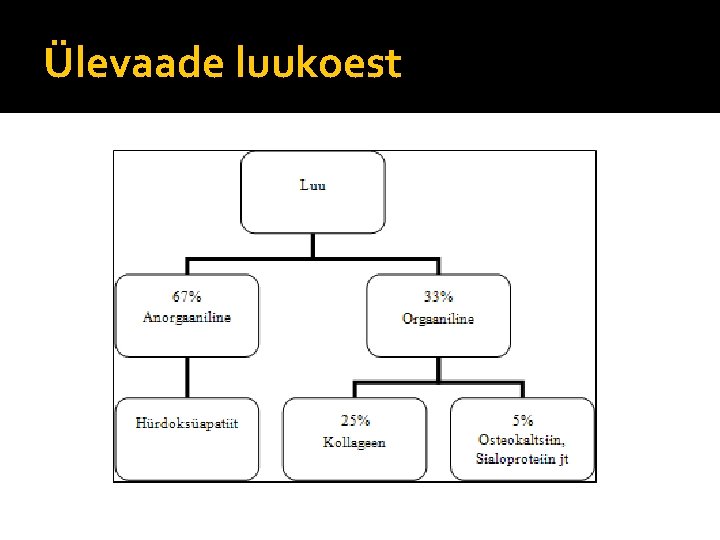 Ülevaade luukoest 