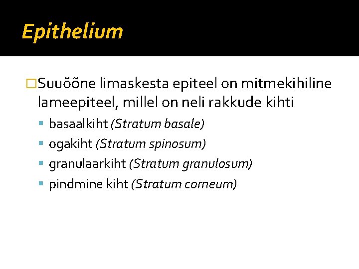 Epithelium �Suuõõne limaskesta epiteel on mitmekihiline lameepiteel, millel on neli rakkude kihti basaalkiht (Stratum