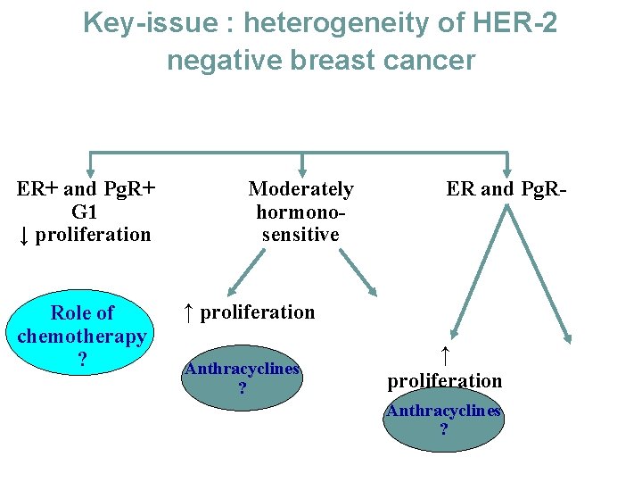 Key-issue : heterogeneity of HER-2 negative breast cancer HER-2 negative ER+ and Pg. R+