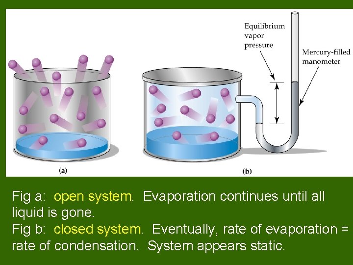 Fig a: open system Evaporation continues until all liquid is gone. Fig b: closed