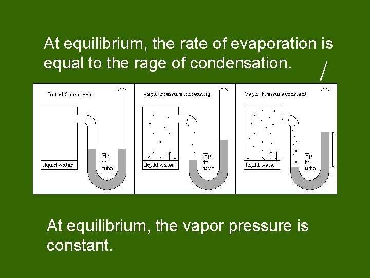 At equilibrium, the rate of evaporation is equal to the rage of condensation. At