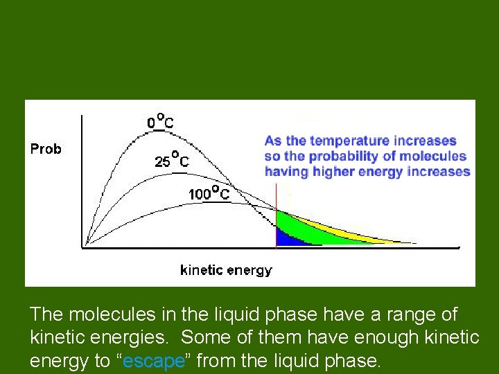 The molecules in the liquid phase have a range of kinetic energies. Some of