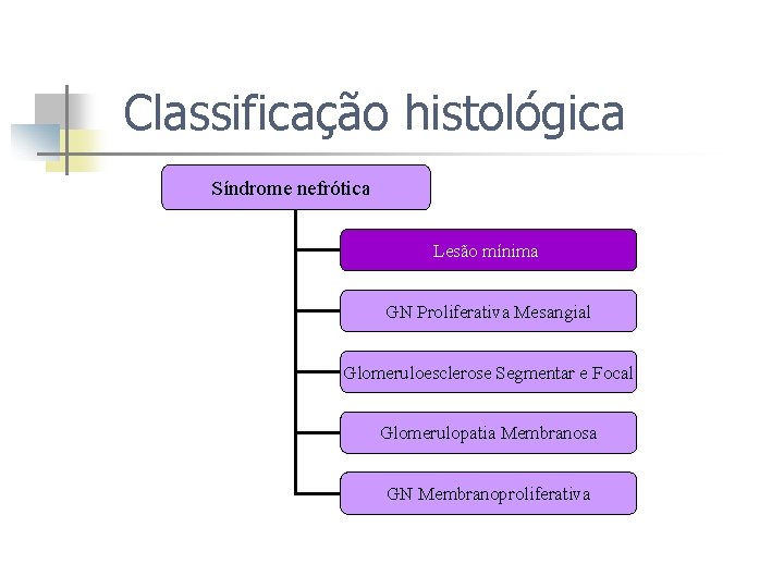 Classificação histológica Síndrome nefrótica Lesão mínima GN Proliferativa Mesangial Glomeruloesclerose Segmentar e Focal Glomerulopatia