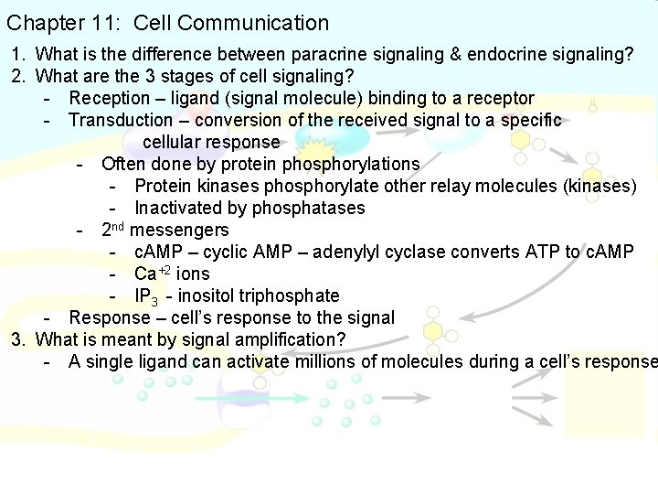 Chapter 11: Cell Communication 1. What is the difference between paracrine signaling & endocrine