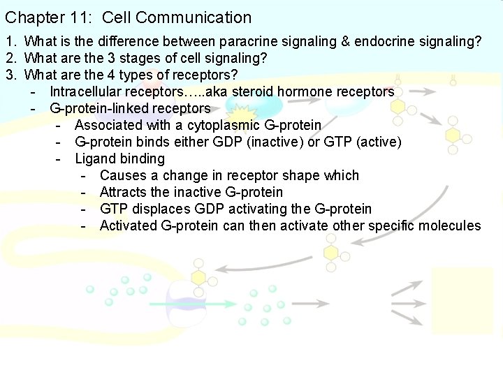 Chapter 11: Cell Communication 1. What is the difference between paracrine signaling & endocrine
