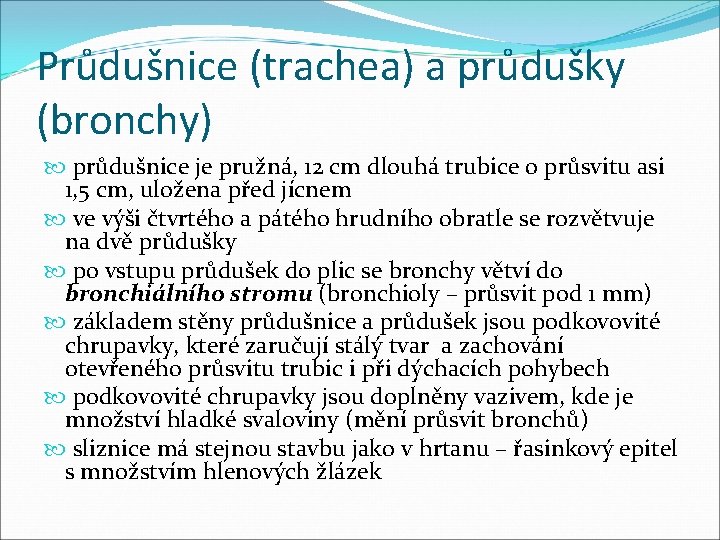 Průdušnice (trachea) a průdušky (bronchy) průdušnice je pružná, 12 cm dlouhá trubice o průsvitu