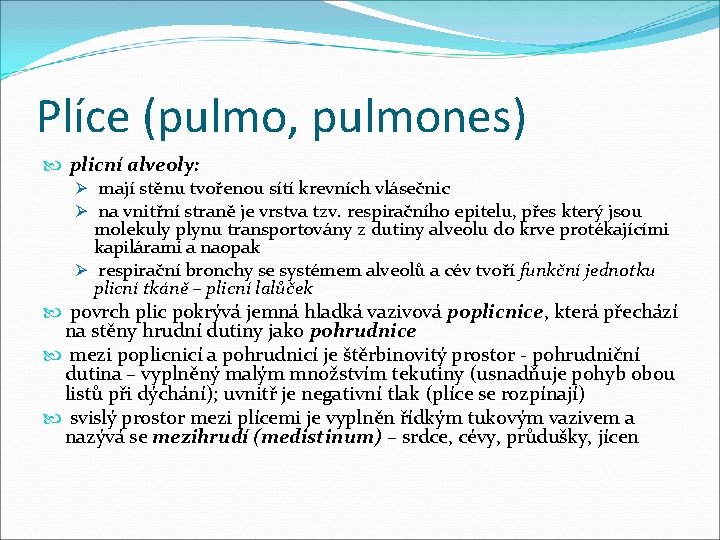 Plíce (pulmo, pulmones) plicní alveoly: Ø mají stěnu tvořenou sítí krevních vlásečnic Ø na Plíce (pulmo, pulmones) plicní alveoly: Ø mají stěnu tvořenou sítí krevních vlásečnic Ø na