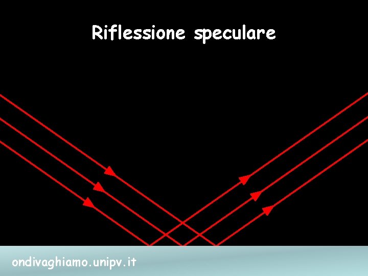 Riflessione speculare ondivaghiamo. unipv. it 