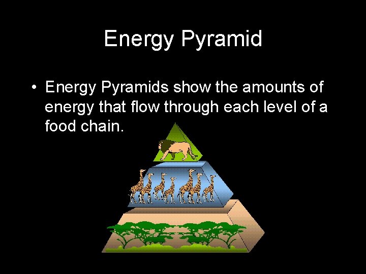 Energy Pyramid • Energy Pyramids show the amounts of energy that flow through each