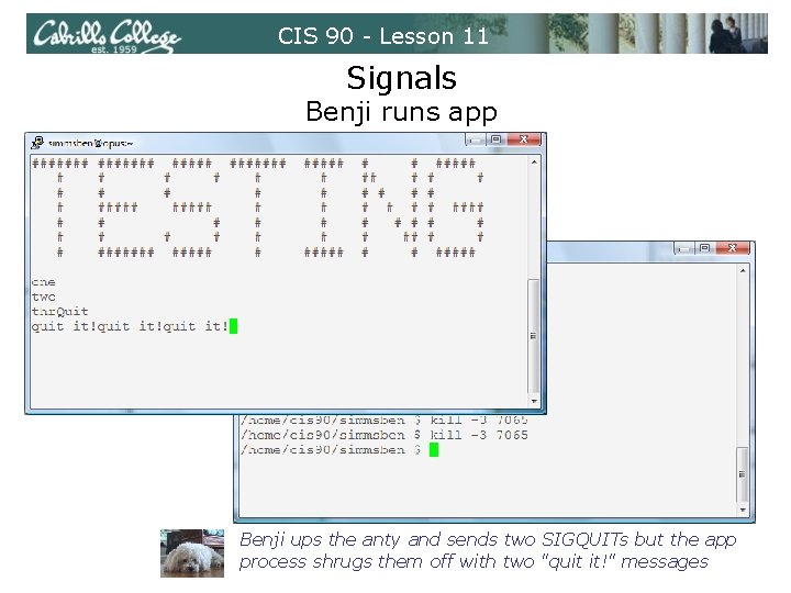 CIS 90 - Lesson 11 Signals Benji runs app Benji ups the anty and