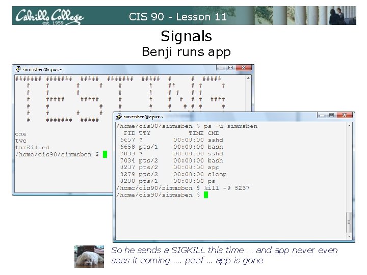 CIS 90 - Lesson 11 Signals Benji runs app So he sends a SIGKILL