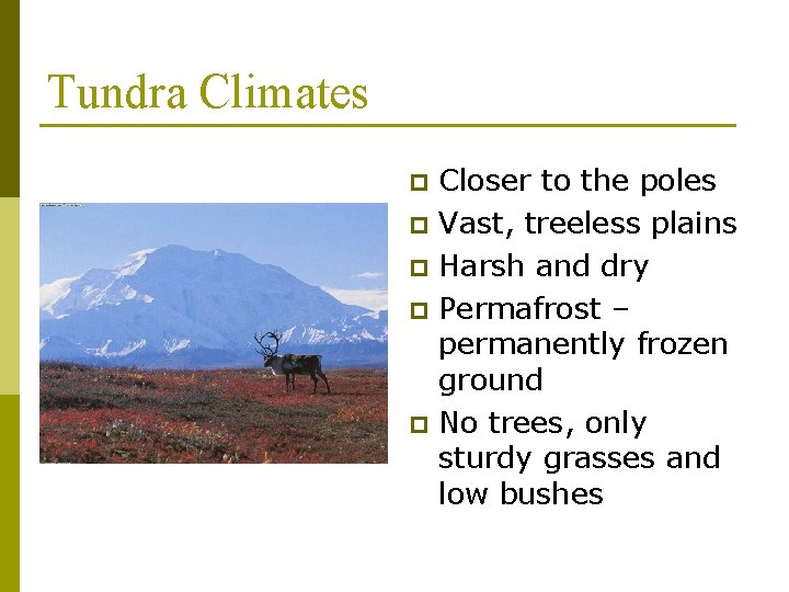 Tundra Climates p p p Closer to the poles Vast, treeless plains Harsh and
