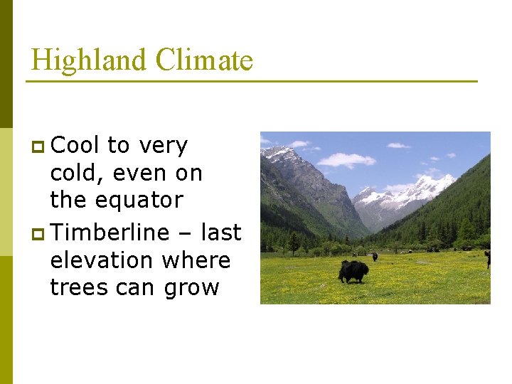 Highland Climate p Cool to very cold, even on the equator p Timberline –
