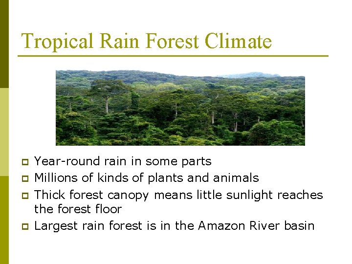 Tropical Rain Forest Climate p p Year-round rain in some parts Millions of kinds
