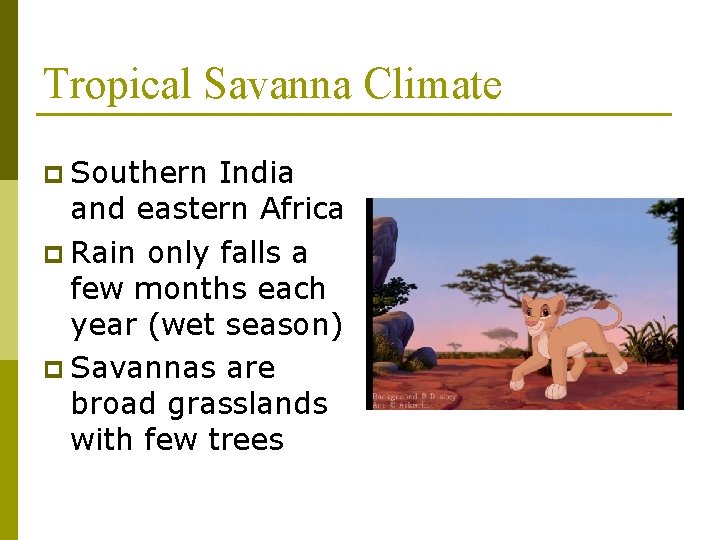 Tropical Savanna Climate p Southern India and eastern Africa p Rain only falls a