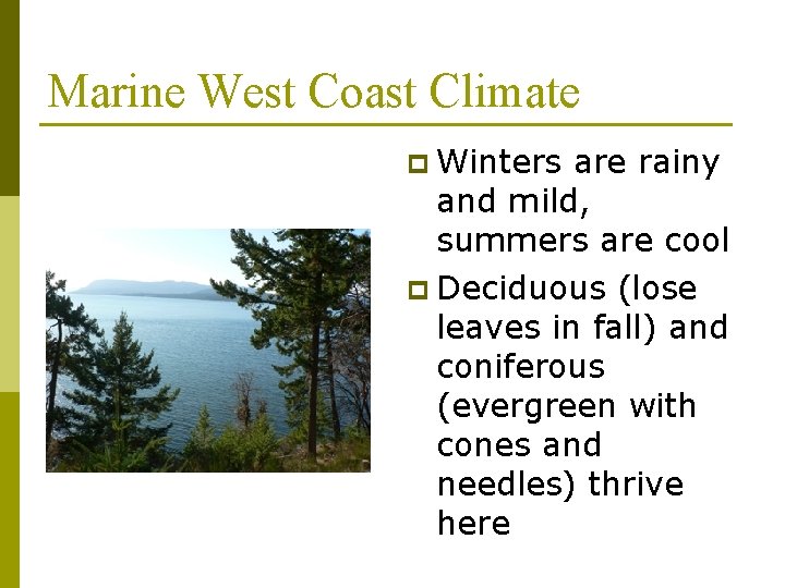 Marine West Coast Climate p Winters are rainy and mild, summers are cool p