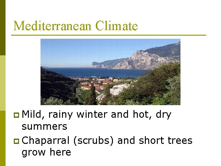 Mediterranean Climate p Mild, rainy winter and hot, dry summers p Chaparral (scrubs) and