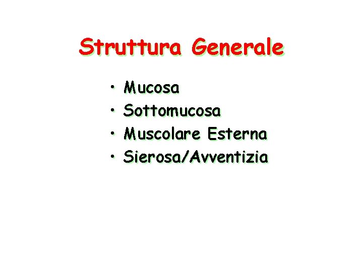 Struttura Generale • • Mucosa Sottomucosa Muscolare Esterna Sierosa/Avventizia 