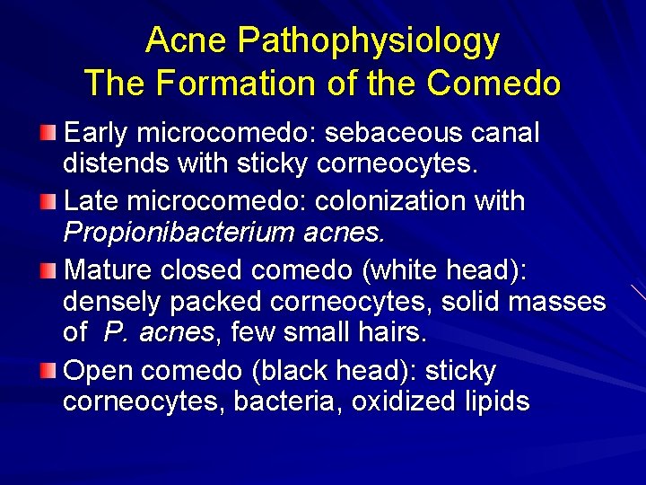 Acne Pathophysiology The Formation of the Comedo Early microcomedo: sebaceous canal distends with sticky