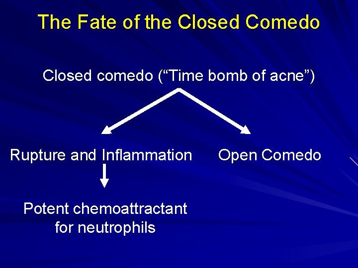 The Fate of the Closed Comedo Closed comedo (“Time bomb of acne”) Rupture and