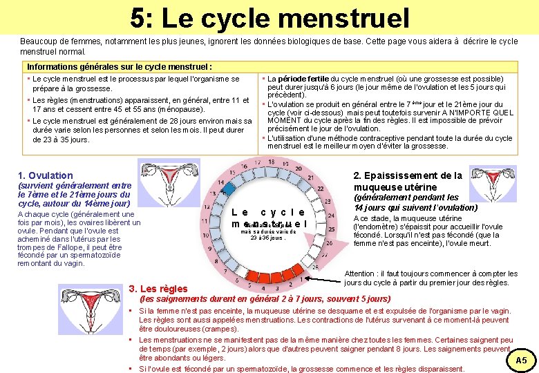 5: Le cycle menstruel Beaucoup de femmes, notamment les plus jeunes, ignorent les données